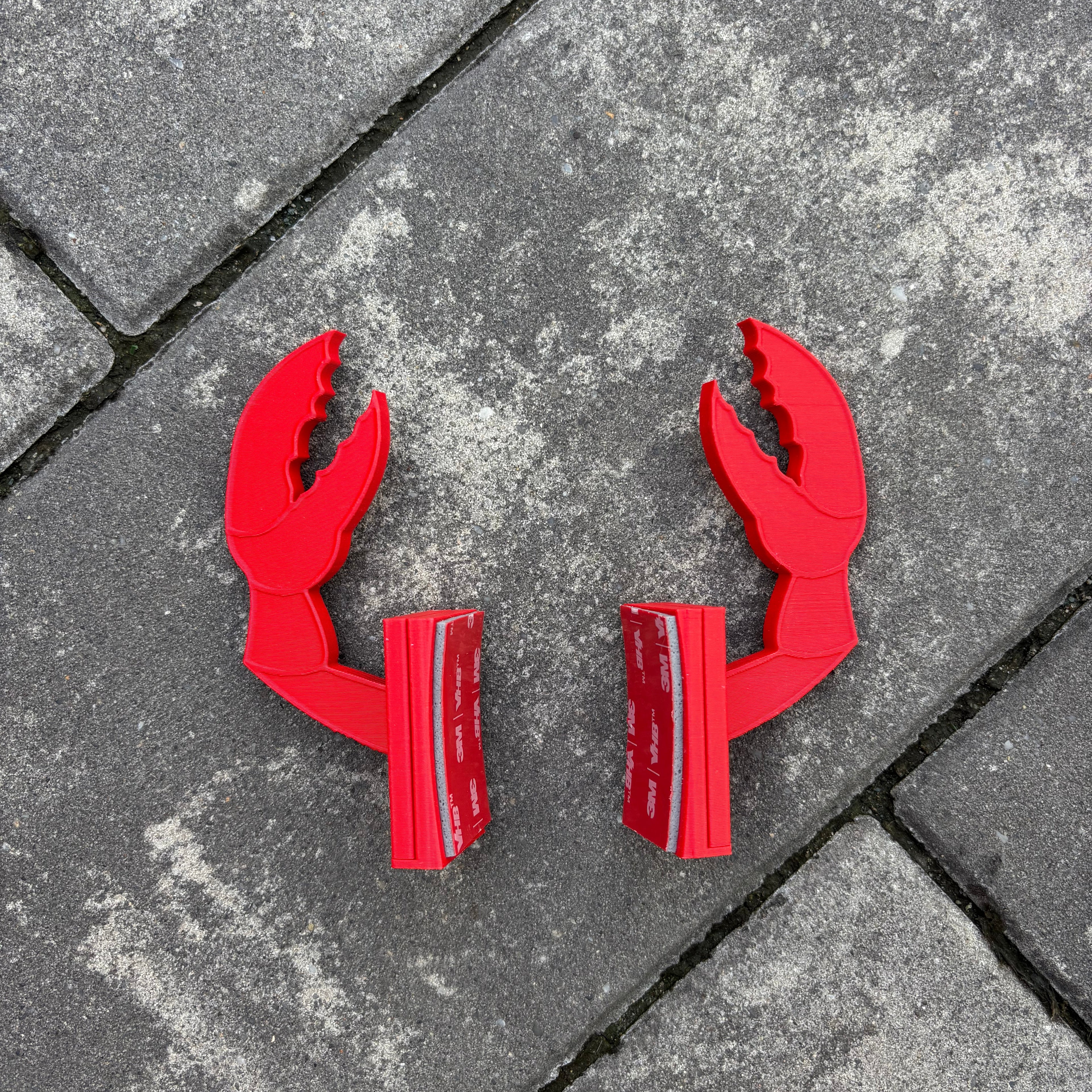 Crab